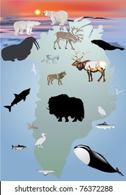 illustration with Greenland animals collection