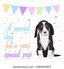 Ilustración con un saludo a un cachorro de Perro de Montaña de Berna 'Un día especial para un cachorro muy especial' y coloridas banderas en el fondo, ideal para tarjetas de felicitación o anuncios para cumpleaños de mascotas