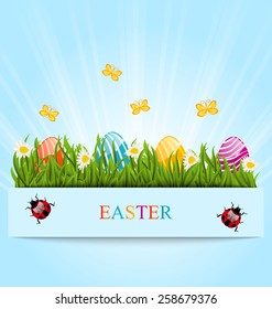 Illustration greeting card with Easter colorful eggs and camomiles in green grass - vector