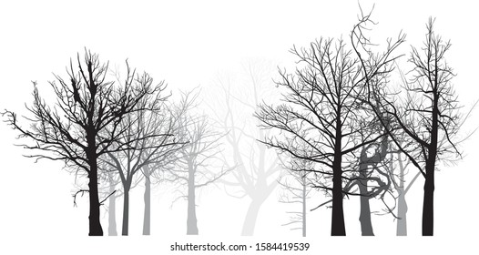 illustration with grey bare forest isolated on white background