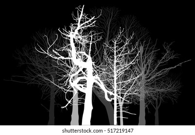 ilustración con bosque desnudo gris aislado en fondo negro