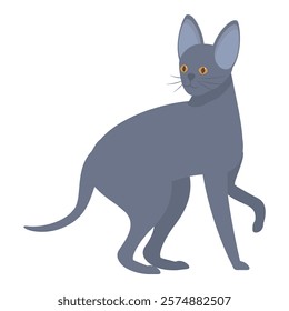 Illustration of a grey cat standing and looking curious