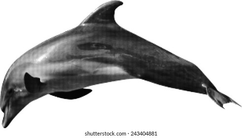 Illustration mit grauem Delfin aus Punkten einzeln auf weißem Hintergrund