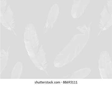 illustration with grey feathers background