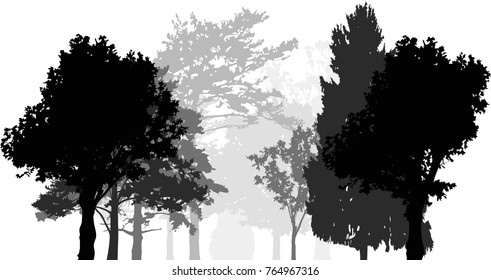 Illustration mit grauem Wald einzeln auf weißem Hintergrund