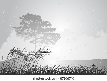 illustration with grey forest at rain