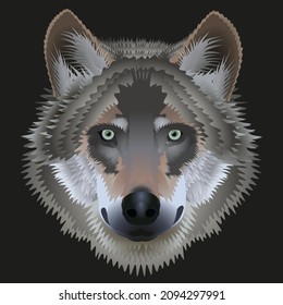 illustration of a grey wolf head on a black background