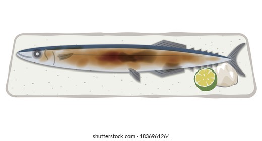 Illustration of grilled saury with salt