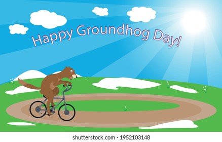 Illustration in the groundhog Day vector. Groundhog on a bicycle.