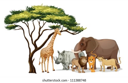 Illustration Of A Group Of African Animals