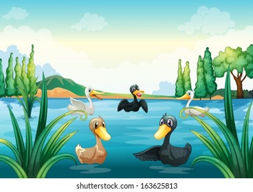 Illustration of a group of aquatic birds at the pond