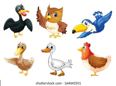 Illustration of a group of birds on a white background