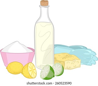 Illustration of a Group of Common Natural Cleaning Ingredients 