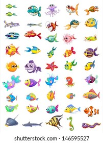 Illustration of a group of different fishes on a white background 