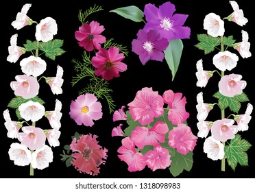illustration with group of large garden flowers isolated on black background