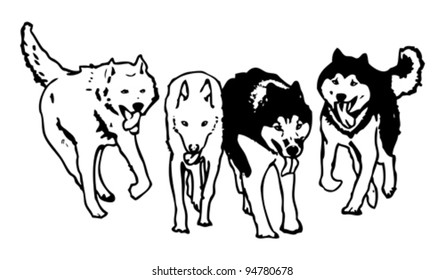 Illustration of a group of nordic dogs vectorized.