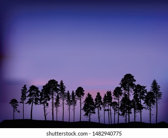 illustration with group of pine tree silhouettes at night