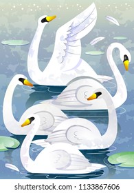 Illustration of a Group of Swan Called Herd. Collective Noun. Eps10