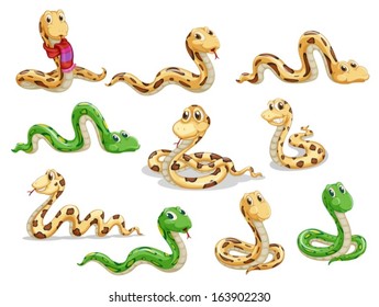 Illustration of a group of voluptuous snakes on a white background