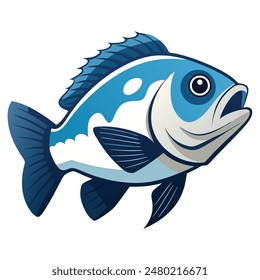 illustration of a grouper fish on white