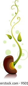 Illustration of a Growing Bean Sprout