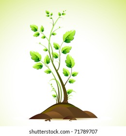 illustration of growing green tree on abstract background