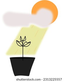Illustration of growing plant seeds in pots exposed to the sun