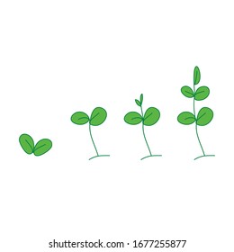 Ilustración del vector vegetal en crecimiento