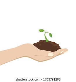 Illustration of growing young leaves wrapped in the palm, image illustration of educational ecology ecology