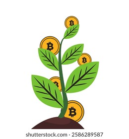 illustration of growth about bitcoin world