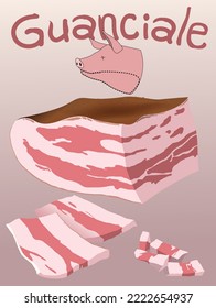 illustration of guanciale, Italian cured meat prepared from pork cheeks - vector