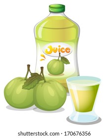 Illustration of a guava juice on a white background