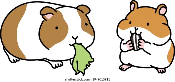 Illustration of guinea pigs and hamsters eating side by side