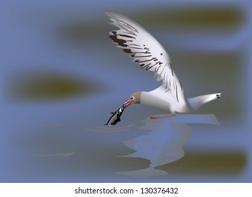 ilustración con gaviota capturando peces pequeños en agua