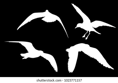 illustration with gull silhouette collection on black background