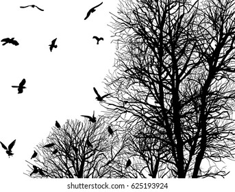 illustration with gulls and tree in late autumn isolated on white background