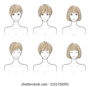Illustration of the hairstyle