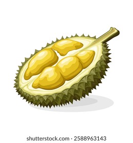 Illustration of half durian, isolated on white background.