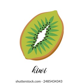 Illustration of half kiwi fruit isolated on white background. Summer tropical fruit.