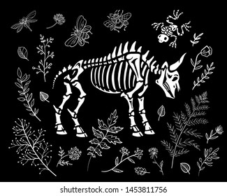 Illustration for Halloween. A bull's skeleton and magical herbs. Isolated on black background. Great for greeting cards, invitations, for printing on T-shirts and more.