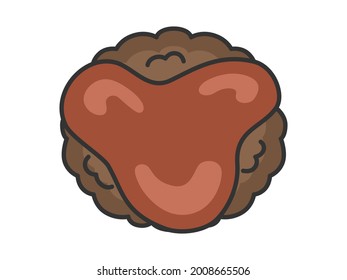Illustration of hamburger steak with sauce.