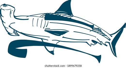 ilustración del tiburón martillo 