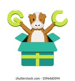 Illustration hamster, vector, gift