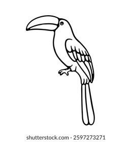 illustration hand draw single bird on white background good for coloring book