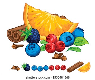 Illustration hand draw vector. Cranberry, blueberry, leaves, cranberry cinnamon rolls, cloves and orange. Isolated on white background. Winter spices.