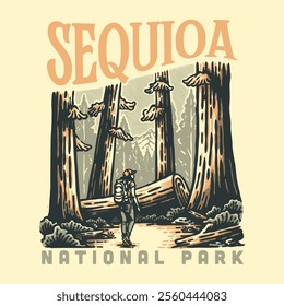 Illustration hand draw vintage retro of SEQUOIA NATIONAL PARK vector grafic for apparel and badge design merchandise