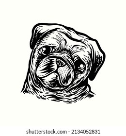 Illustration hand drawing pug dog vintage