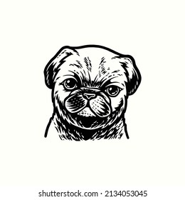 Illustration hand drawing pug dog vintage