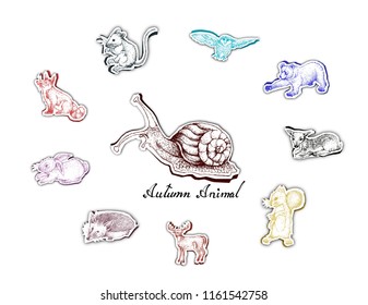 Illustration Hand Drawn of Autumn Animal in Trendy Origami Deep Paper Art Carving Style. Symbolic Animal to Show The Signs of Autumn Season. 