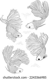 Illustration Hand Drawn Betta Fish